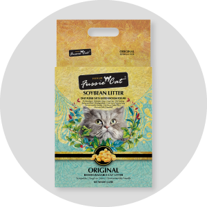 Cat Cat Litter